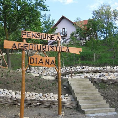 Pensiunea Agroturistica Diana Măgura Buitenkant foto